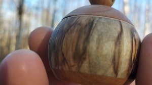 Шкатулка в ноябрьском лесу в дупле березы