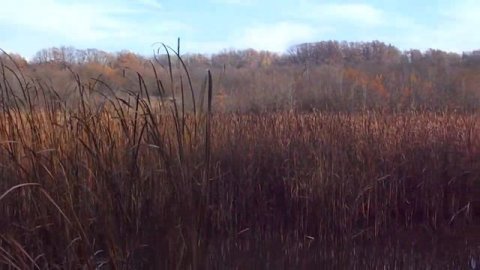 Прогулка по осеннему лесу в поисках близлежащих водоёмов