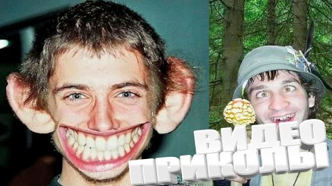 ТОПОВЫЕ ПРИКОЛЫ 2025 \ СМЕШНЫЕ ВИДЕОПРИКОЛЫ \ КАЧЕСТВЕННАЯ ПОДБОРКА ВИДЕОПРИКОЛОВ