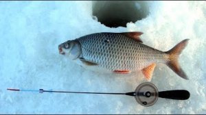 Зимняя рыбалка. Ловим Сорогу. Пошёл Клёв. Лучшие Моменты с Зимней Рыбалки