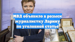 МВД объявило в розыск журналистку Ларину по уголовной статье