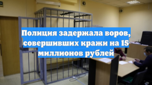 Полиция задержала воров, совершивших кражи на 15 миллионов рублей