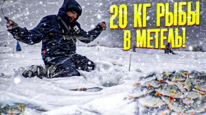 Нарвались на бешеный клёв в метель! Давно так не отрывались на мормышку. Шикарная рыбалка