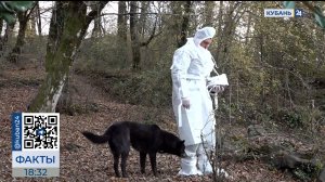 Вакцинацию диких хищников от бешенства провели в нацпарке Сочи