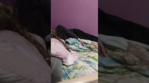 демонстрируем четыре леденца