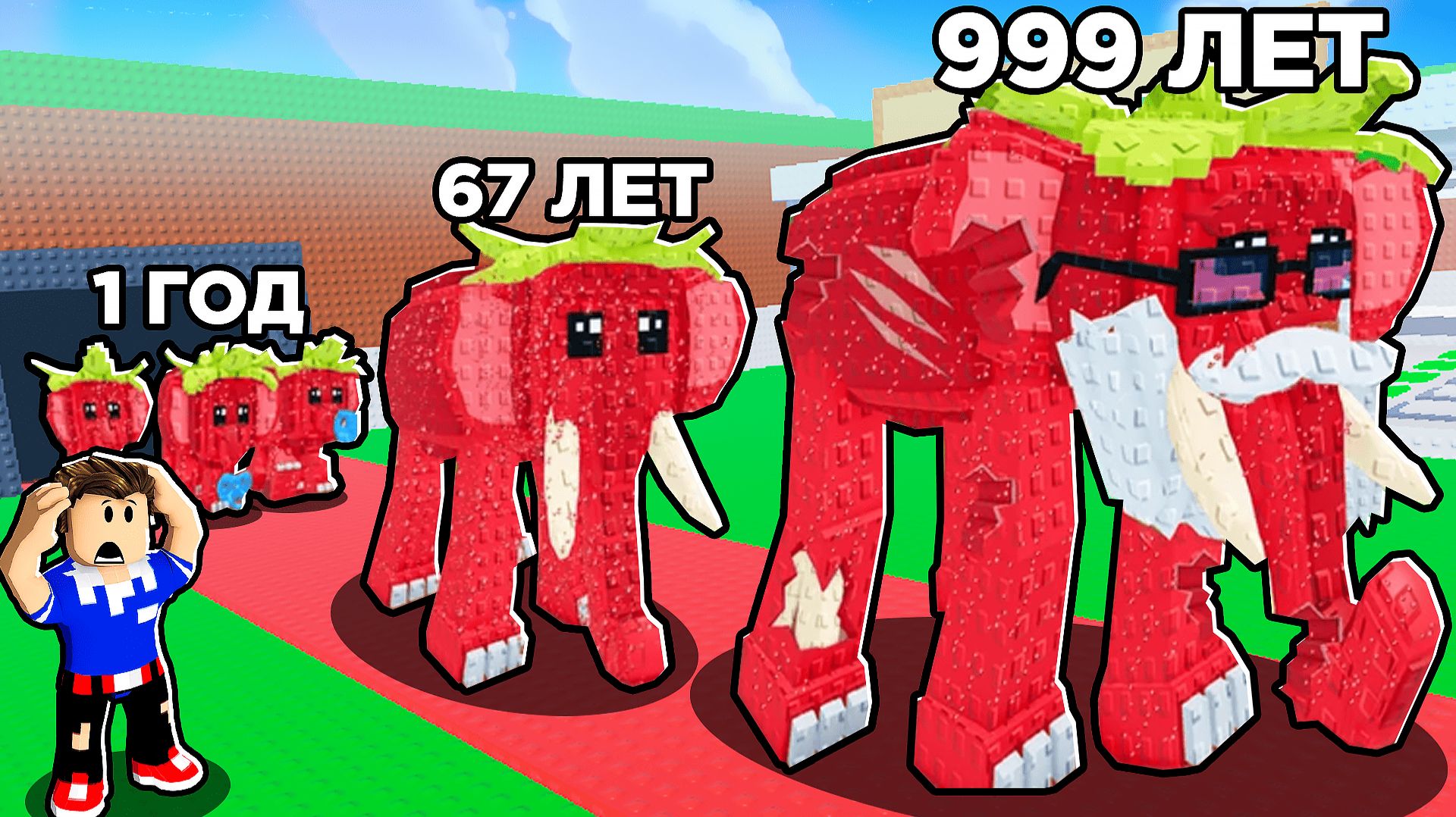 Я ВЫРАСТИЛ БРЕЙНРОТ ОТ РОЖДЕНИЯ ДО СТАРОСТИ В РОБЛОКС