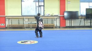 Легендарный мастер ушу из Китая получил российский орден Дружбы