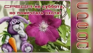 ДОБРОЕ УТРО. СРЕДА. И ЭТО ЗДОРОВО! ЗНАЧИТ СКОРО ВЫХОДНЫЕ.ПРИМИТЕ ГЛОТОЧЕК ПОЗИТИВЧИКА С УТРА