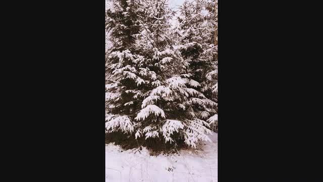 Как начинается зима