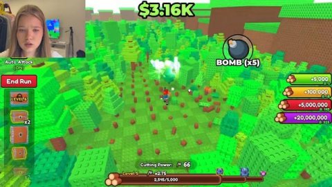 ПОПРОБУЙ ВЫРУБИТЬ ЭТОТ ЛЕС!