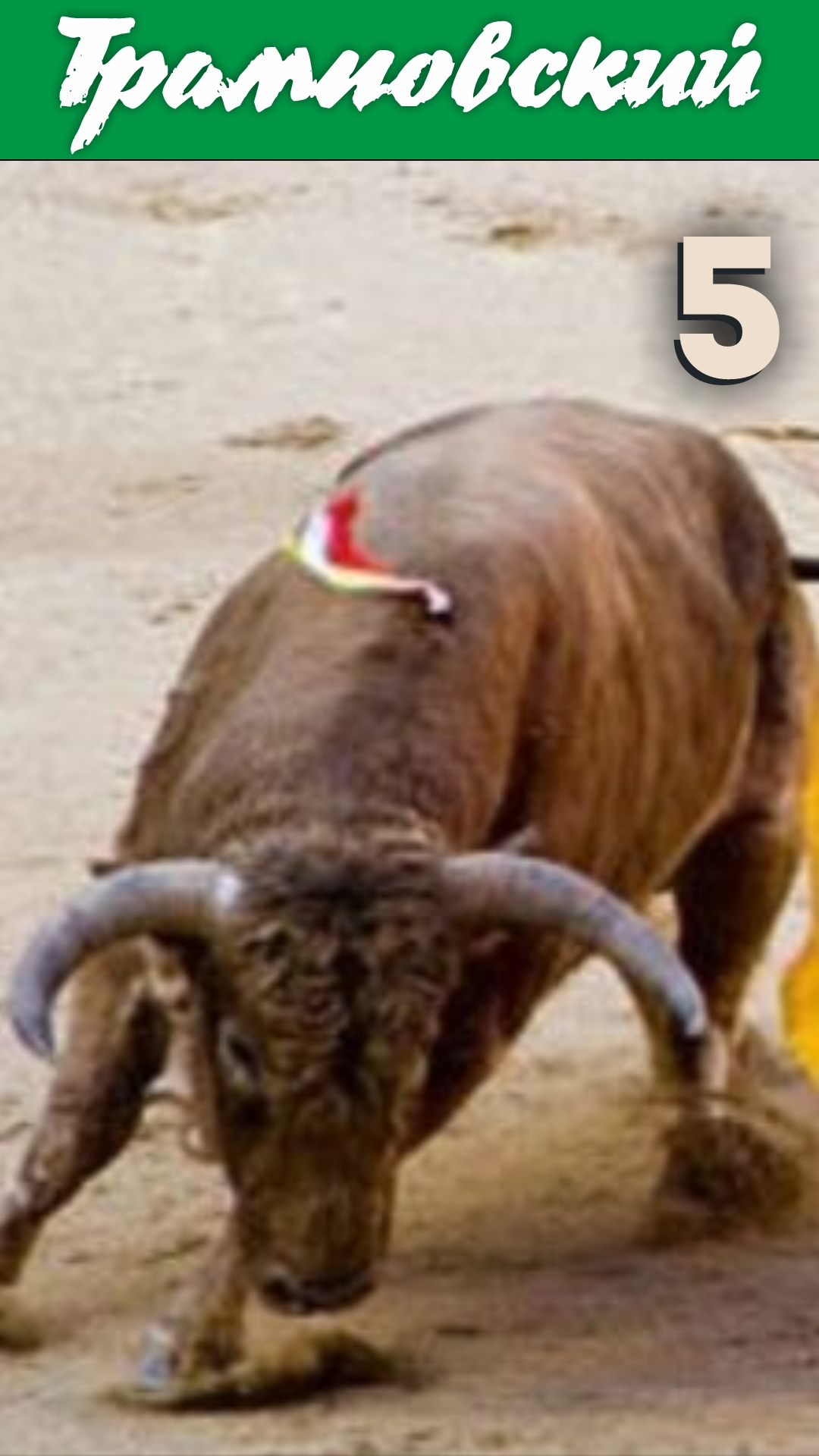 Трамповский-Б .. g6 / 5 партия