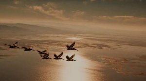 Единственная песнь.