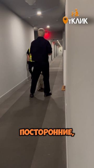 Начните обучение дома!