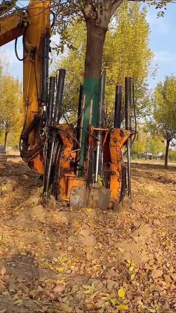 Легко и просто выкопать дерево 🌳😎😬