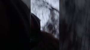 еду домой после школы