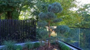 Эста — коттеджный посёлок премиум класса в Сочи. Домсбассейном.рф // 8 988 149-60-70