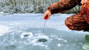 ПОКЛЁВКА за ПОКЛЁВКОЙ.От такой Рыбалки Силы Кончились за час.Подводные сьёмки
