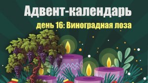 Адвент-календарь 2025. День 16: Виноградная лоза