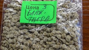 Прошу вас поделиться своим мнением после выращивания этого томата "РАСЩЕПЕНЦА"!