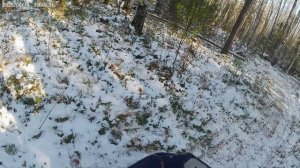 Седьмой день в лесу. Поднимаю капканы. 18.10.25 г.