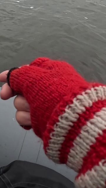 Мелкий но бодрый!