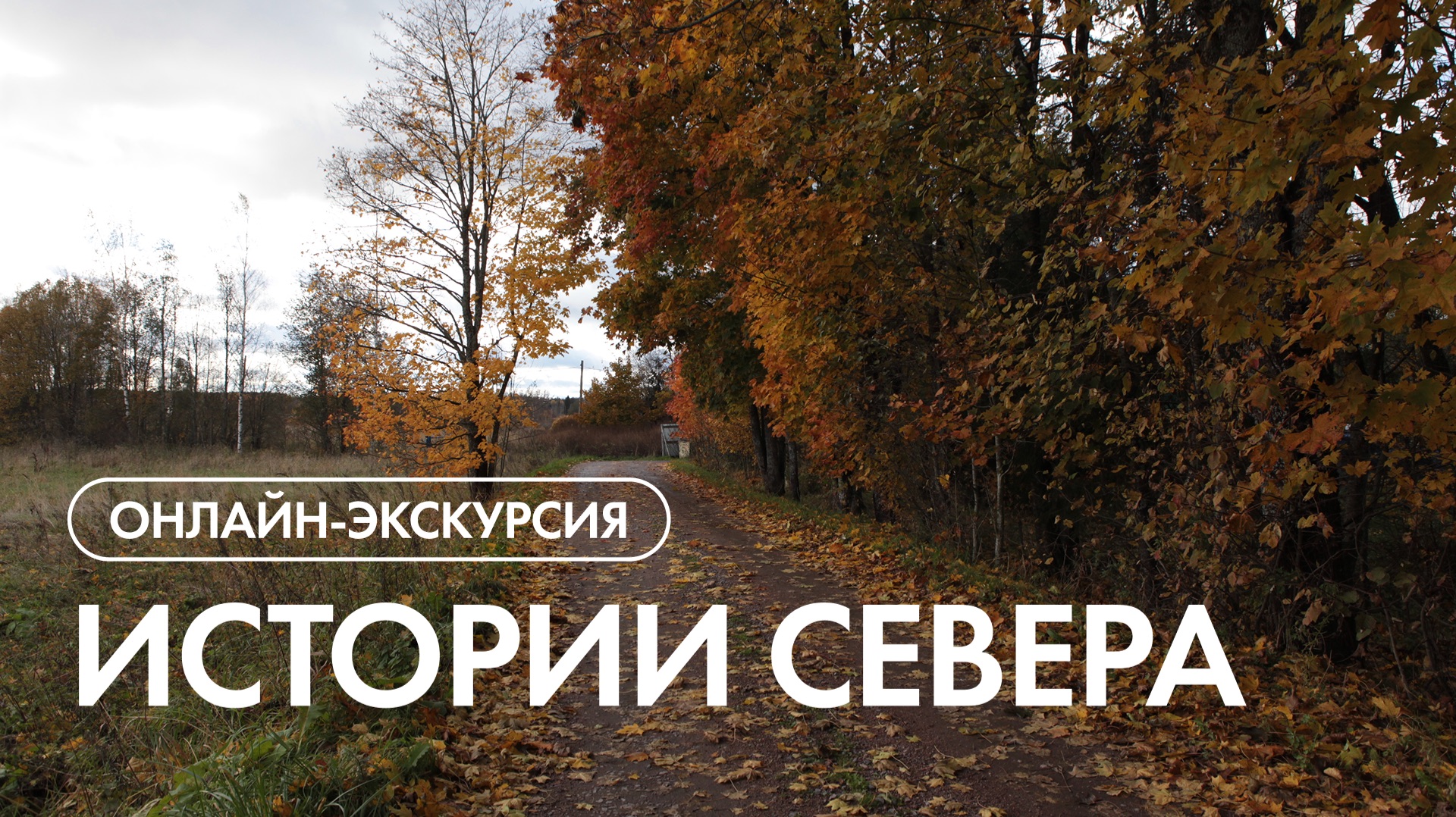 Онлайн-экскурсия по посёлку Истории Севера