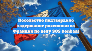 Посольство подтвердило задержание россиянки во Франции по делу SOS Donbass