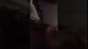 итиг зифирной лапки на палачьке