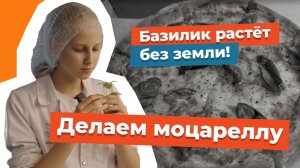 Инженеры нашего времени: инженер-фудтехнолог