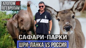 Галопом НЕ по Европам - САФАРИ-ПАРКИ. ШРИ-ЛАНКА VS ВОРОНЕЖ