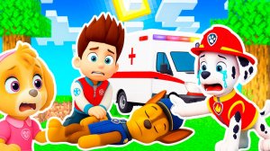 ЧТО СЛУЧИЛОСЬ с ГОНЩИКОМ ЩЕНЯЧИЙ ПАТРУЛЬ СКАЙ ИЗМЕНЯЕТ С МАРШАЛОМ В МАЙНКРАФТ МУЛЬТИК