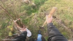 КАК ПОСАДИТЬ ДЕРЕВЬЯ