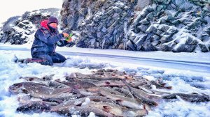 НАЛОВИЛИ АЖ ПОДНЯТЬ НЕ СМОГЛИ! ЭТО УЩЕЛЬЕ ЗАБИТО РЫБОЙ! Рыбалка в АРКТИКЕ-