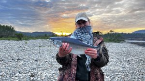 На Кольский за горбушей. 2025