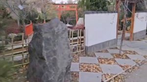 #153.Тбилиси.Продолжение..Ботанического сада,и прогулка по городу.Какое Метро в Тбилиси?