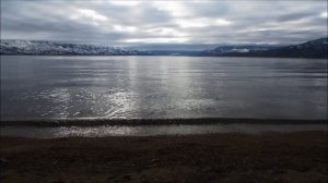 Anilah — Warrior (w/ Einar Selvik)