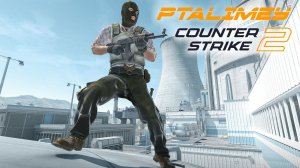 РОЗЫГРЫШ в тг🎁 Поход новичка в CS2