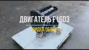 Двигатель F16D3