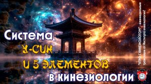 Система У-син и 5 элементов в кинезиологии