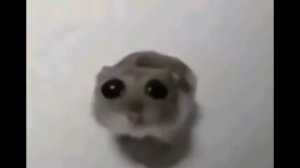 Видео в голову не приходят(╥﹏╥)