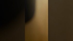 VID_20251126_164124_602