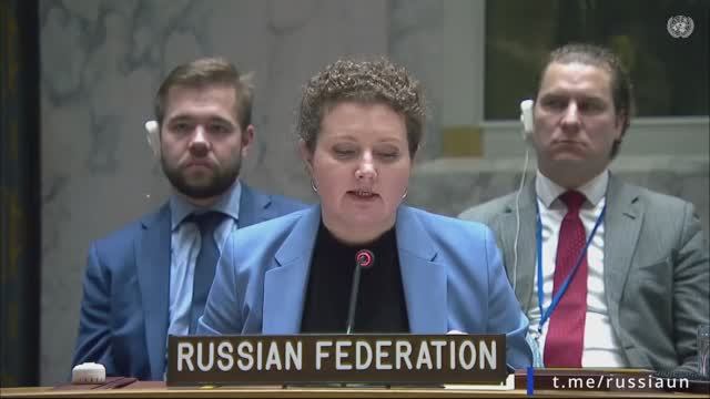 А.М.Евстигнеева в ООН о продлении особого инспекционного режима у берегов Ливии, 25 ноября 2025