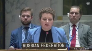 А.М.Евстигнеева в ООН о продлении особого инспекционного режима у берегов Ливии, 25 ноября 2025