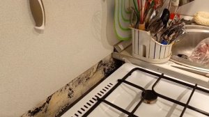 в поисках полки🧐🧐🧐🧐