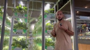 10 месяцев в Паттайе: что изменилось и чем я живу