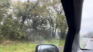 260. Плюсы жизни в Уэльсе. Почему мы еще здесь. Отвечаю на вопрос.