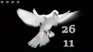 26.11.2025 - Прямая трансляция ст.Елизаветинская