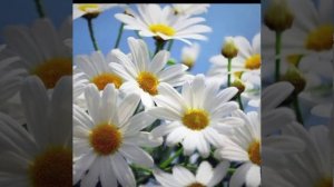 Зачем © Copyright: Бронислав Сычёв, 2025
Свидетельство о публикации №125112603351