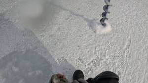 КРУПНЫЕ ОКУНИ НА ОЗЕРЕ АРШАЛЫ.