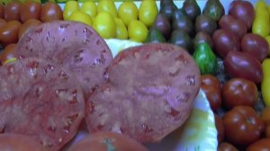 Классический Итальянский томат Роза из Соренто. №908. Дегустация 2022 г.